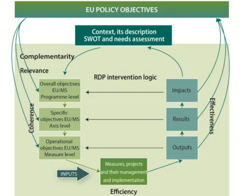 Figure 6  RDP specific intervention logic with common and programme specific elements  