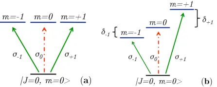 FIG. 1. The atomic level structure. The linearly polarized(alongshows the degenerate level structure and the right panel the0transitions