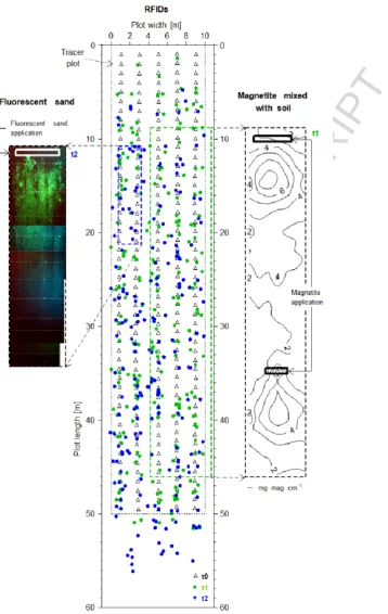 Fig. 2. Translocation of individual RFIDs (t0 to t1 and t1 to t2); translocation of magnetic tracer mixed with soil 
