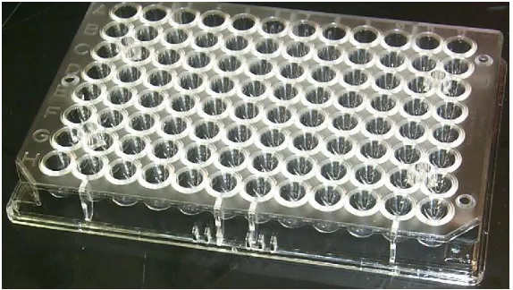 Figure 1: Example of a 96-Well microtiter plate used for ELISA test.