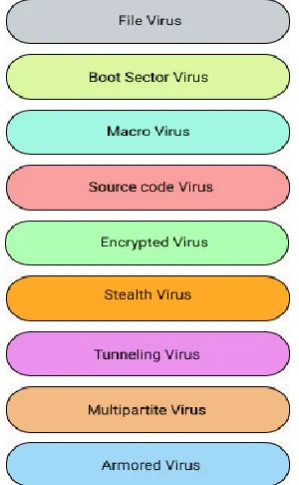 Fig -4: Types of Virus 