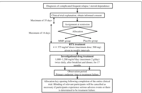 Fig. 1 Flow diagram of the clinical trial set-up. This trial is a multicenter, double-blind, randomized, placebo-controlled trial