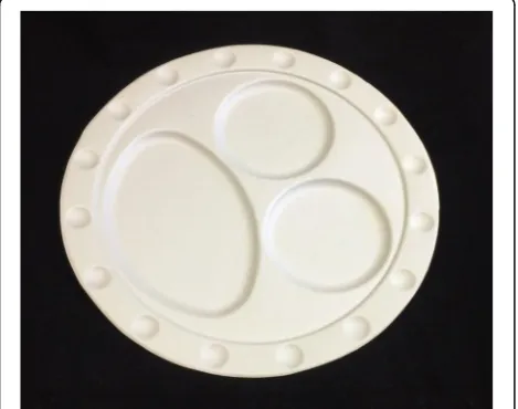 Fig. 3 Portion control plate inspired by the Delboeuf and EbbinghausIllusions