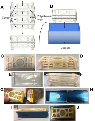 Figure 3:  Spaceflight hardware. (A) Diagram of how cages and polyethylene bags come together and are then (B) inserted into the cassette