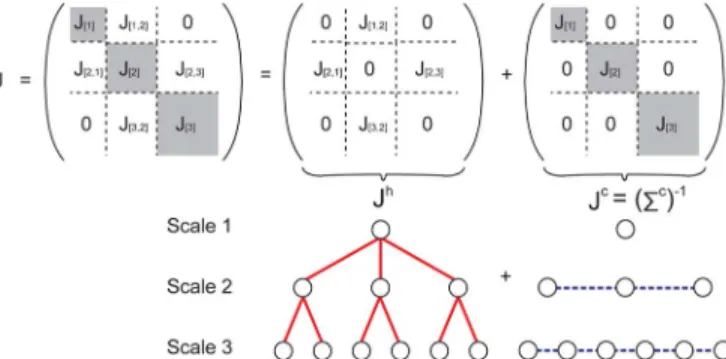Fig. 5. Decomposition of a SIM model into a sparse hierarchical structure con- con-necting different scales and a sparse conjugate graph at each scale