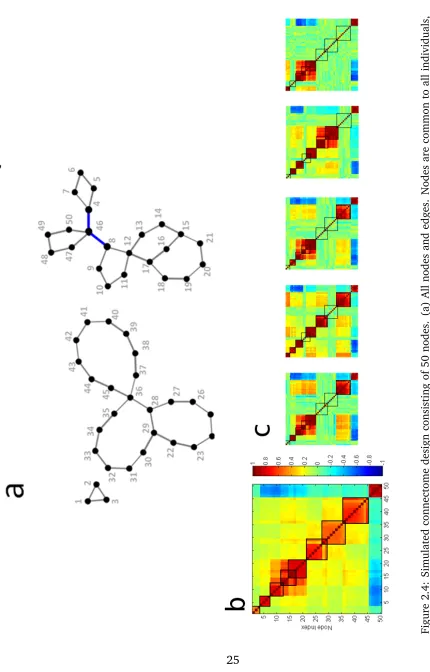 Figure 2.4: Simulated connectome design consisting of 50 nodes. (a) All nodes and edges