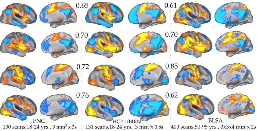 Figure 2.13: SCPs 1, 2, 5, and 9 computed from the PNC dataset(left), HCP+fBIRN dataset(middle) and BLSA dataset (right) using Areal Graph nodes