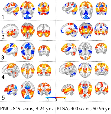 Figure 2.14: SCPs 1-5 generated from the PNC data (left) and BLSA data (right) usingGraSP parcels.