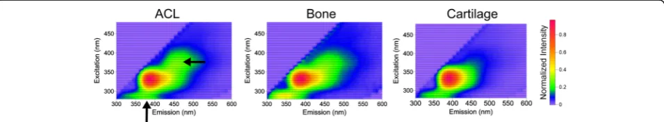 Fig. 1 Typical 3D excitation-emission maps normalized to the peak intensity of insertion site (ACL), bone and cartilage from one bovine knee.Note the differences in autofluorescent response between the separate components indicated by arrows