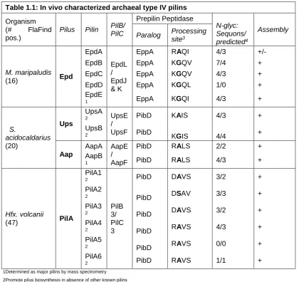 Table 1.1: In vivo characterized archaeal type IV pilins 