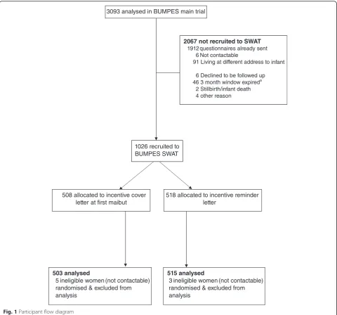 Fig. 1 Participant flow diagram