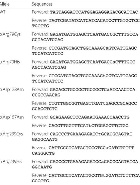 Fig. 2 Protein expression levels of mutant alleles were comparable to that of WT GFAP.EGFP or indicated alleles of GFAP C-terminally fused to a FLAG epitope, and processed for Western blotting with anti-FLAG antibody