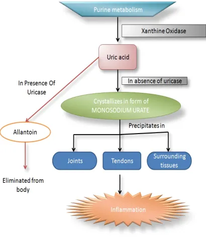 Figure 2: Podagra in elderly patient 