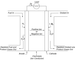 Figure 1-1  Schematic of an Individual Fuel Cell