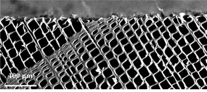Fig. 1 Transverse ESEMmicrograph of a black sprucewood sample planed with a rakeangle of 20� and a wavelengthof 1.5 mm