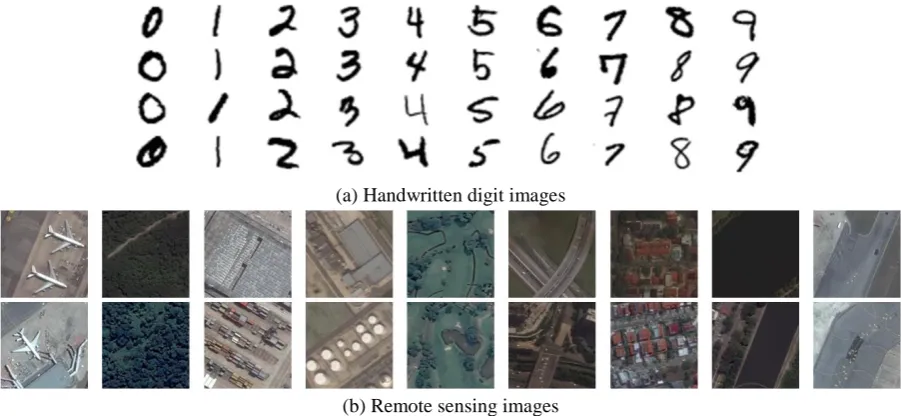 Fig. 5. Example images of the two benchmark datasets.  