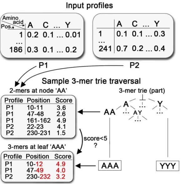 Figure 1.  Sample k-mer tree traversal.  Sketched is one part of a 3-mer trie traversal with two input profiles (P1 and P2)