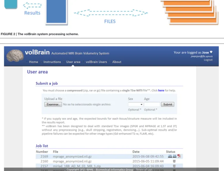 FIGURE 3 | Capture of volBrain website user area. Here the user can submit a new case and download the results of previous cases.