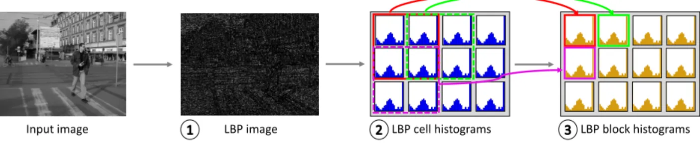 Figure 4: Steps to compute the LBP features of an image: (1) Given a grayscale image compute the LBP map (Algorithm 1); (2) compute the Cell Histograms of the LBP map (Algorithm 2); (3) histogram reduction to generate the Block Histograms (Algorithm 3).
