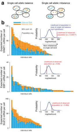 Figure 3.10:EBF1Figure 2.8: Single cell level imbalance in GM12878 genes. A. Single cells can eithersingle cells