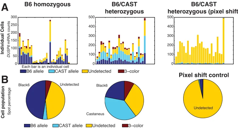 Figure 2.15: Quantitative measurements of Dusp6(and can typically be further classiﬁed based on relative intensity; not shown)