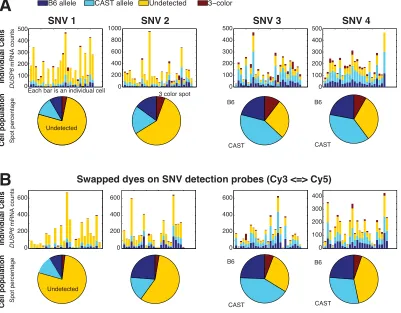 Figure 2.16: Quantitative measurements using probes for individual SNPs for Dusp6mRNA in individual cells (bars) and population summary (pie charts)