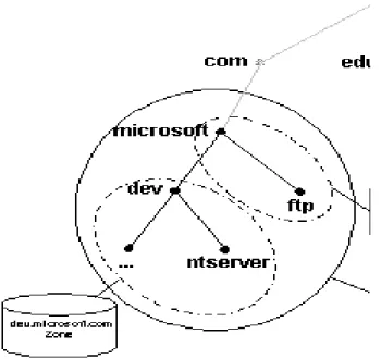 Figure 2. Domain with zones 