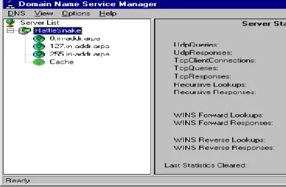 Figure 5. Configuring DNS Server  Since  the  DNS  server  initially  has  no  information about your specific network, the  DNS  server  service  installs  as  a   caching-only  name  server  for  the  Internet
