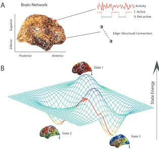 Figure 2: Conceptual Schematic.minima in the energy landscape: states predicted to form the foundational repertoire of (A) A weighted structural brain network representsthe number of white matter streamlines connecting brain regions