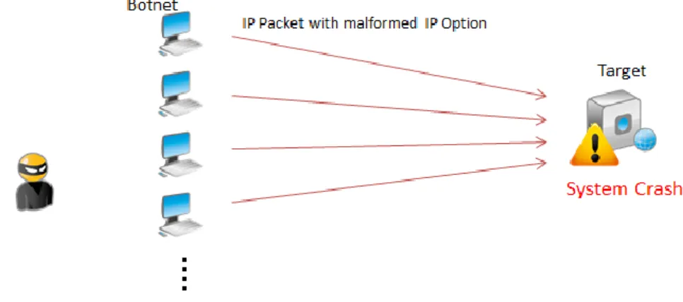 Figure 9: IP Option Exploit 