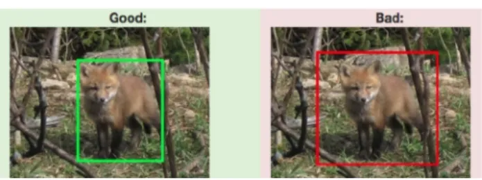 Fig. 12 Each object (fox) has only one bounding box referring to it (left). Multiple boxes drawn for the same object (right) are combined together if they have a minimum threshold of 0 .9 intersection over union