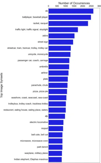 Figure 13 shows the top synsets to which our images belong.