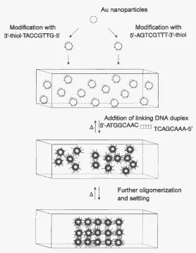 Figure 1.1. Repurposed from Ref. (26). Illustration of the process used by Mirking to 