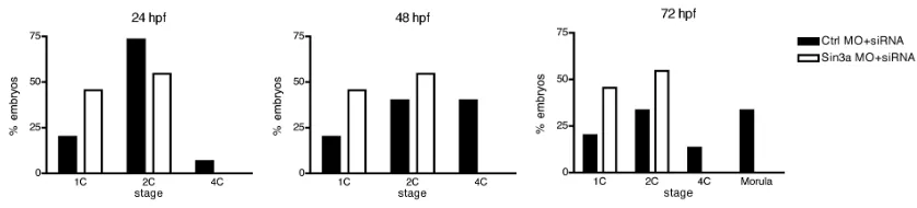 Figure 3.9. Inhibiting the maturation-associated increase in SIN3A protein leads to a developmental arrest at the 2-cell stage