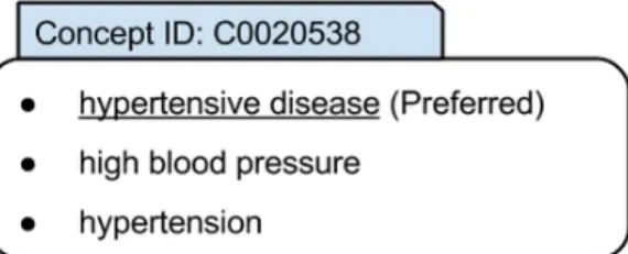 Figure 2.4: A concept can be expressed with different terms.
