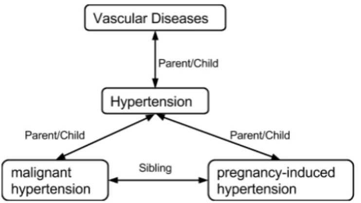 Figure 2.5: Concepts are classified into several of categories and are connected by hier- hier-archical relationships.