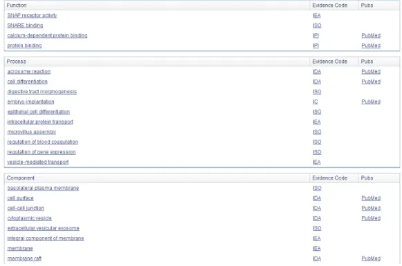 Figure 2.14: For example, one of the well known Gene Ontology knowledge database: