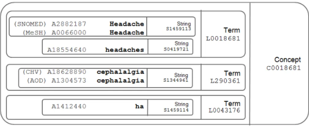Figure 2.15: In Metathesaurus an expression is defined in 4 level: Concept, Term, String and Atom which is respectively identified by AUI, SUI, LUI and CUI.