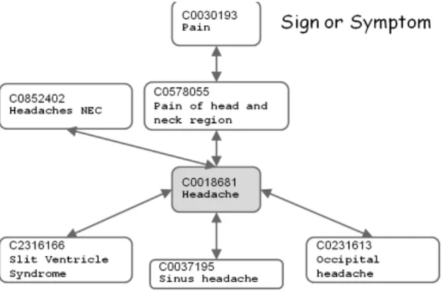 Figure 2.16: In UMLS, headache is defined as the hyponym of Pain and Pain of head and neck region and hypernym of Sinus headache and so on