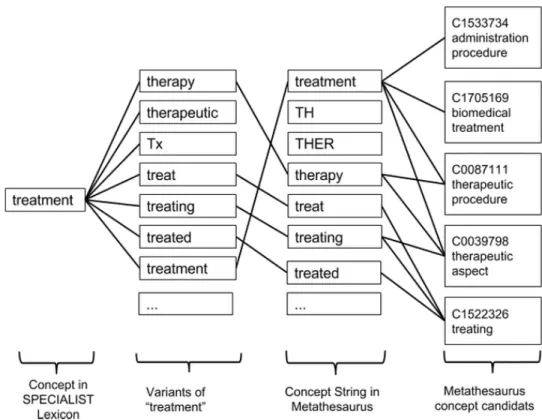 Figure 2.19: The variants of term “treatment” are used to match the concept strings in UMSL Metathesaurus