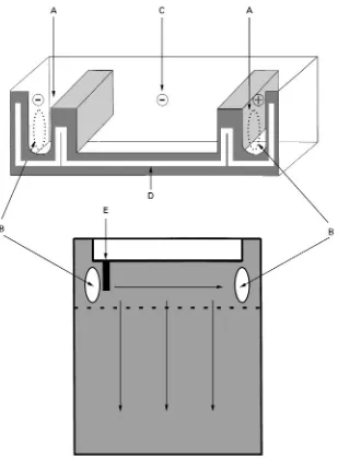 Figure 4Schematic depiction of the automated two-dimensional electrophoresis unit. Buffer chambers for the first-dimensionseparation (A) are connected with the gel through openings in the (inner) glass plate (B)