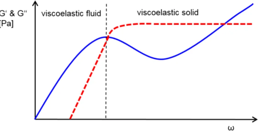 Figure 3.5: Characteristic curve shape of G 0 and G 00 over a wide frequency range, deter- deter-mined by frequency sweep measurements.