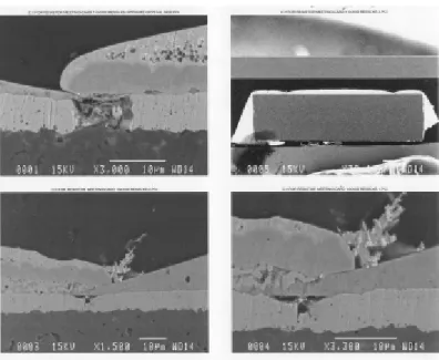 Figure 1: Example of a component failure due to an environment high in sulfur-bearing gases  attacking the silver metallization in the component producing silver sulfide "flowers."  