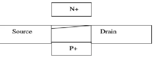 Figure 4: Asymmetrical DG MOSFET [3] 