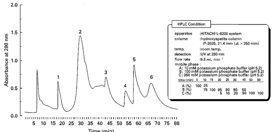 Figure 4Typical chromatograms of the glycoforms ofthe gradient programme for the fractionation of the glycoforms of AAG