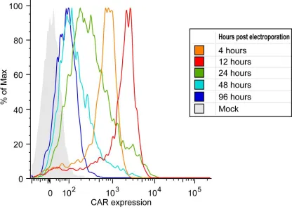 Figure 2.1 CAR surface expression.