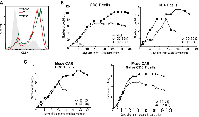 Figure 3.2 4-1BBζ signaling domain provides a survival and proliferative advantage 
