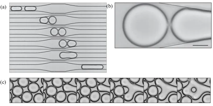 Figure 1-3  (a) Time sequence images showing two droplets as they pass through a ‘collision chamber’