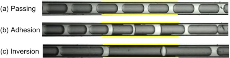Figure 1-5 O/W emulsions flowing through a glass micro-channel with patterned surface wettabilities