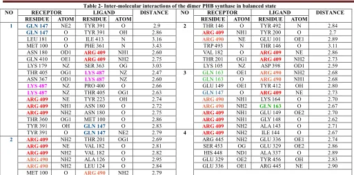 Table 2- Inter-molecular interactions of the dimer PHB synthase in balanced state 